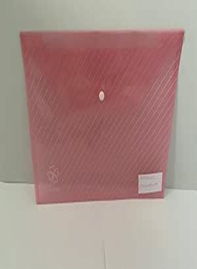 Clever Envelope Plastic File with a Capsule, 0.18 mm Size, Transparent Red